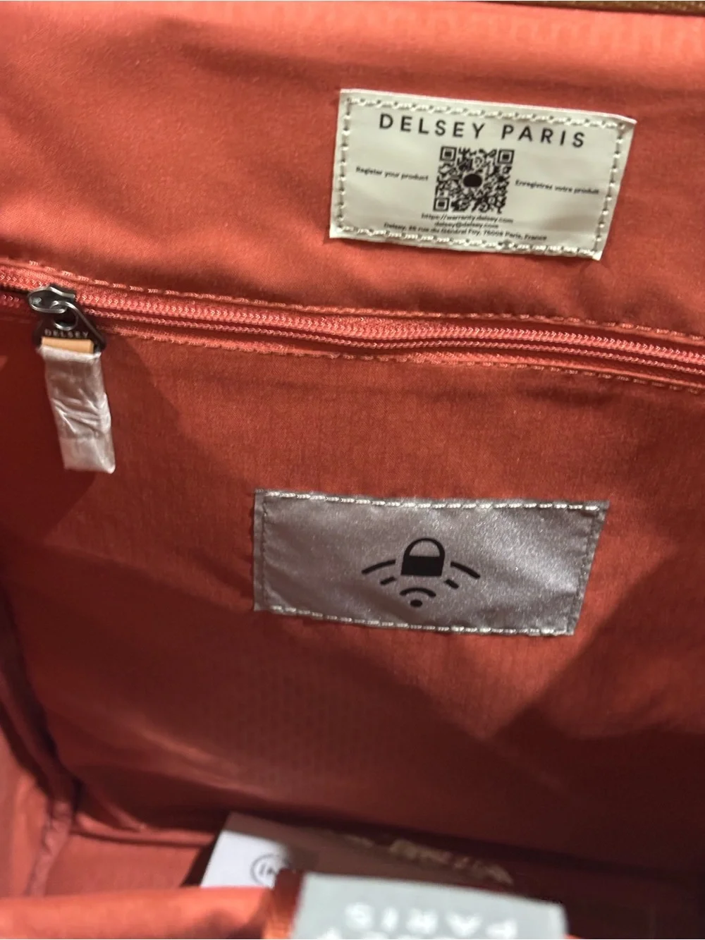 DELSEY Paris Men's Cream & Tan Travel Backpack